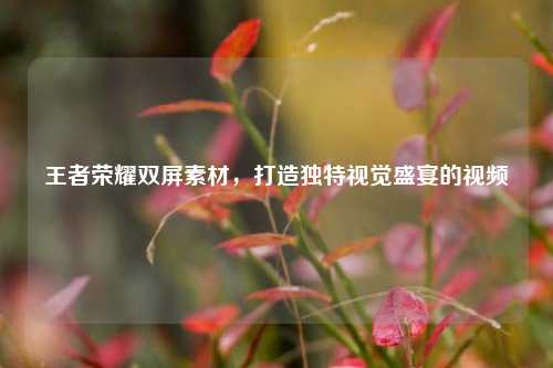 王者荣耀双屏素材，打造独特视觉盛宴的视频