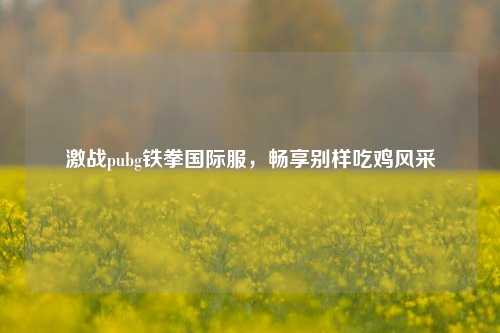 激战pubg铁拳国际服，畅享别样吃鸡风采