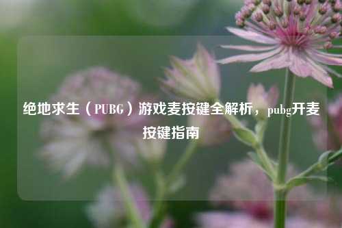 绝地求生（PUBG）游戏麦按键全解析，pubg开麦按键指南