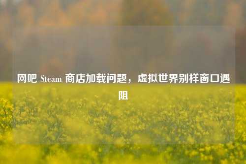 网吧 Steam 商店加载问题，虚拟世界别样窗口遇阻