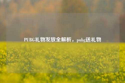 PUBG礼物发放全解析,pubg送礼物