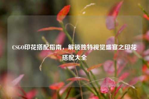 CSGO印花搭配指南，解锁独特视觉盛宴之印花搭配大全
