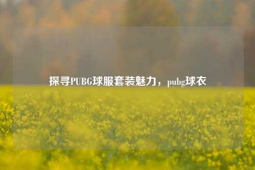 探寻PUBG球服套装魅力，pubg球衣