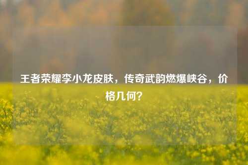 王者荣耀李小龙皮肤,传奇武韵燃爆峡谷,价格几何?