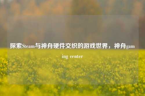 探索Steam与神舟硬件交织的游戏世界,神舟gaming center