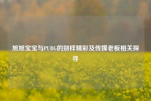 旭旭宝宝与PUBG的别样精彩及传媒老板相关探寻