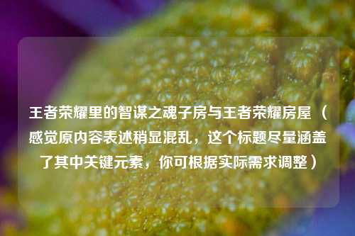 王者荣耀里的智谋之魂子房与王者荣耀房屋 （感觉原内容表述稍显混乱，这个标题尽量涵盖了其中关键元素，你可根据实际需求调整）
