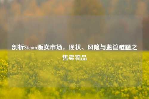 剖析Steam贩卖市场,现状、风险与监管难题之售卖物品