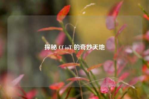 探秘 Cf ioT 的奇妙天地