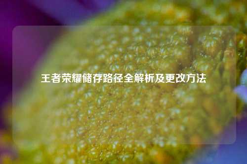 王者荣耀储存路径全解析及更改方法