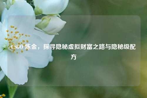 CSGO 炼金，探寻隐秘虚拟财富之路与隐秘级配方