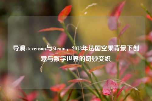 导演stevenson与Steam，2018年法国空乘背景下创意与数字世界的奇妙交织