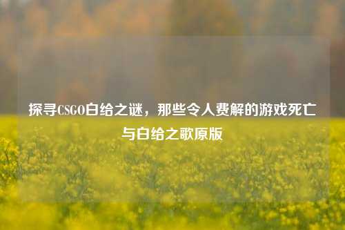 探寻CSGO白给之谜，那些令人费解的游戏死亡与白给之歌原版