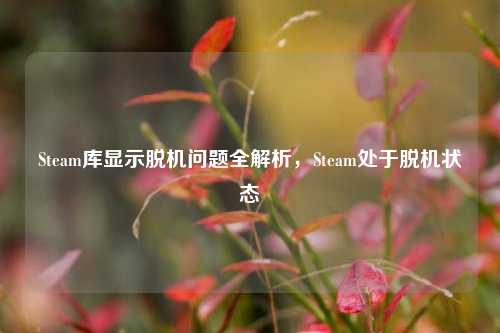 Steam库显示脱机问题全解析，Steam处于脱机状态
