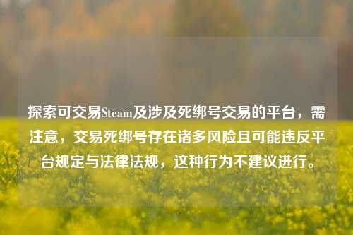 探索可交易Steam及涉及死绑号交易的平台，需注意，交易死绑号存在诸多风险且可能违反平台规定与法律法规，这种行为不建议进行。