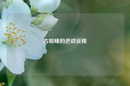 古峻峰的逆战征程