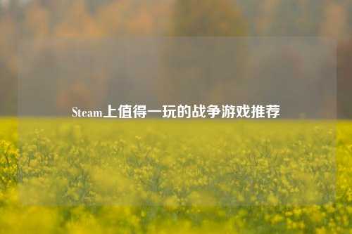 Steam上值得一玩的战争游戏推荐