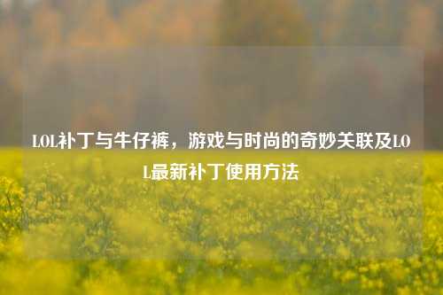 LOL补丁与牛仔裤，游戏与时尚的奇妙关联及LOL最新补丁使用方法