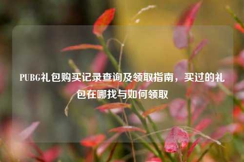 PUBG礼包购买记录查询及领取指南，买过的礼包在哪找与如何领取