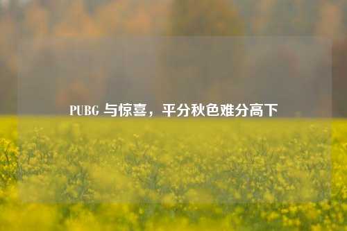 PUBG 与惊喜，平分秋色难分高下