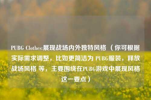 PUBG Clothes:展现战场内外独特风格 (你可根据实际需求调整,比如更简洁为 PUBG服装,释放战场风格 等,主要围绕在PUBG游戏中展现风格这一要点)