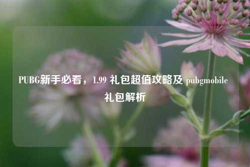 PUBG新手必看，1.99 礼包超值攻略及 pubgmobile 礼包解析