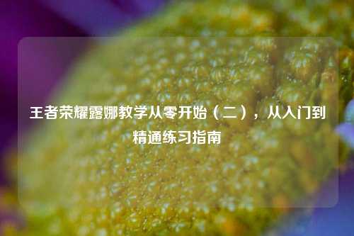 王者荣耀露娜教学从零开始（二），从入门到精通练习指南