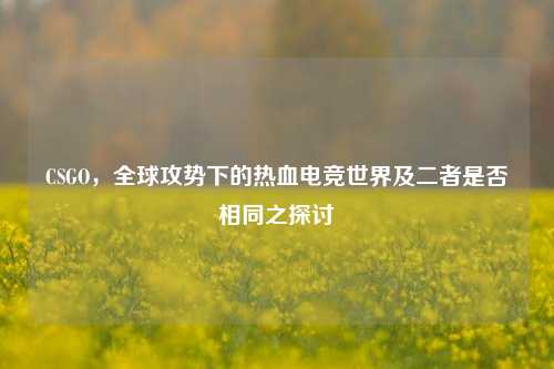 CSGO,全球攻势下的热血电竞世界及二者是否相同之探讨