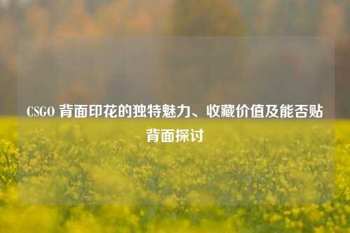 CSGO 背面印花的独特魅力、收藏价值及能否贴背面探讨