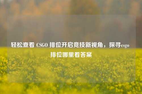 轻松查看 CSGO 排位开启竞技新视角,探寻csgo 排位哪里看答案