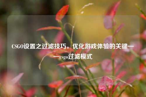 CSGO设置之过滤技巧,优化游戏体验的关键——csgo过滤模式