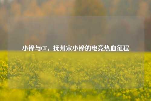 小锋与CF，抚州宋小锋的电竞热血征程