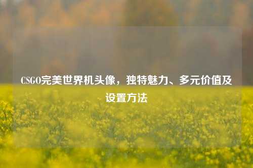 CSGO完美世界机头像，独特魅力、多元价值及设置方法