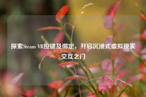 探索Steam VR按键及绑定，开启沉浸式虚拟现实交互之门