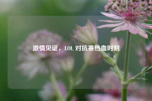 激情见证,LOL 对抗赛热血时刻