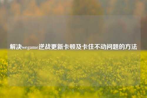 解决wegame逆战更新卡顿及卡住不动问题的方法