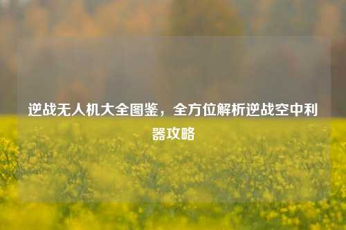 逆战无人机大全图鉴,全方位解析逆战空中利器攻略
