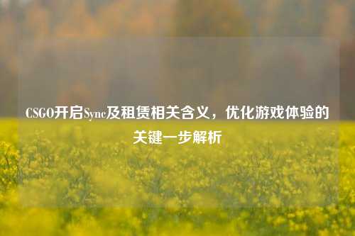 CSGO开启Sync及租赁相关含义,优化游戏体验的关键一步解析