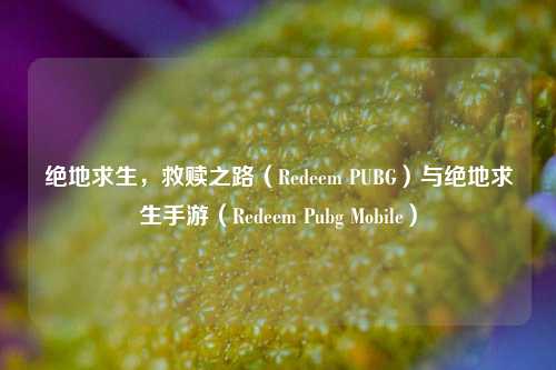 绝地求生，救赎之路（Redeem PUBG）与绝地求生手游（Redeem Pubg Mobile）
