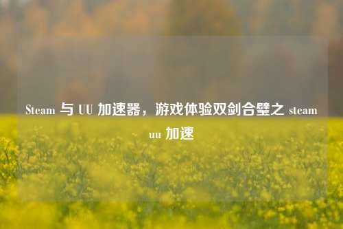 Steam 与 UU 加速器，游戏体验双剑合璧之 steamuu 加速