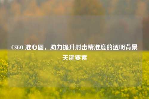 CSGO 准心图，助力提升射击精准度的透明背景关键要素