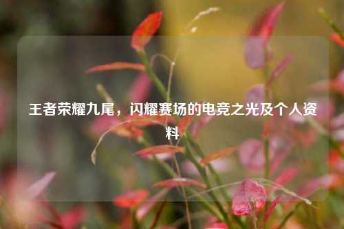 王者荣耀九尾，闪耀赛场的电竞之光及个人资料