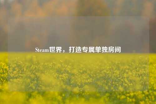Steam世界，打造专属单独房间