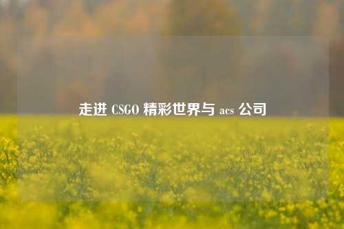 走进 CSGO 精彩世界与 acs 公司