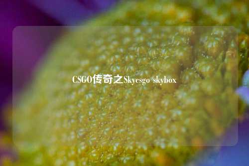 CSGO传奇之Skycsgo skybox