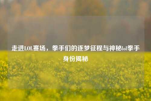 走进LOL赛场，拳手们的逐梦征程与神秘lol拳手身份揭秘