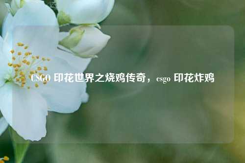 CSGO 印花世界之烧鸡传奇，csgo 印花炸鸡