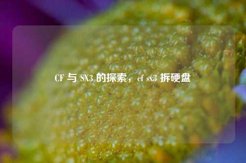 CF 与 SX3 的探索，cf sx3 拆硬盘