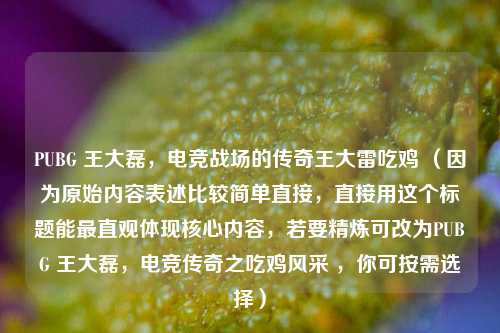 PUBG 王大磊，电竞战场的传奇王大雷吃鸡 （因为原始内容表述比较简单直接，直接用这个标题能最直观体现核心内容，若要精炼可改为PUBG 王大磊，电竞传奇之吃鸡风采 ，你可按需选择）