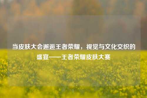 当皮肤大会邂逅王者荣耀，视觉与文化交织的盛宴——王者荣耀皮肤大赛